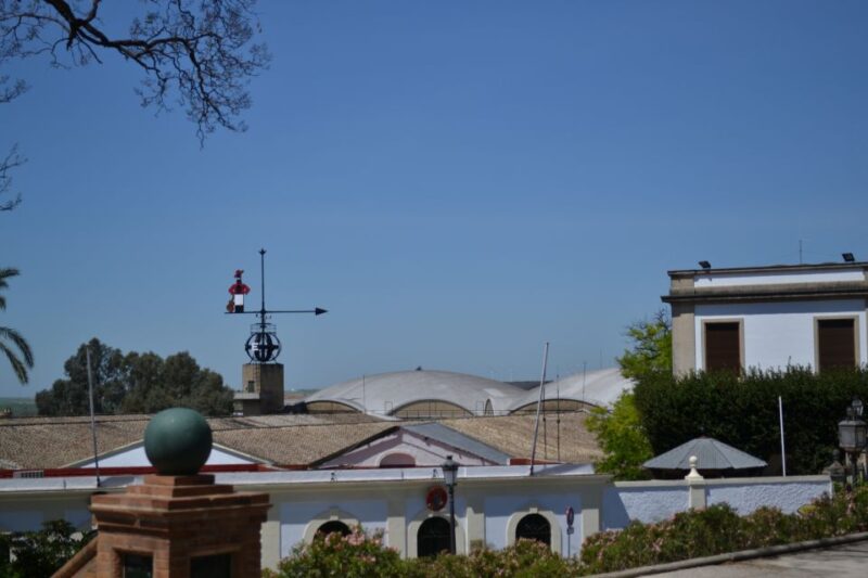 Jerez De La Frontera: 1.5-Hour Walking Tour With a Guide - Private Group Experience Offered