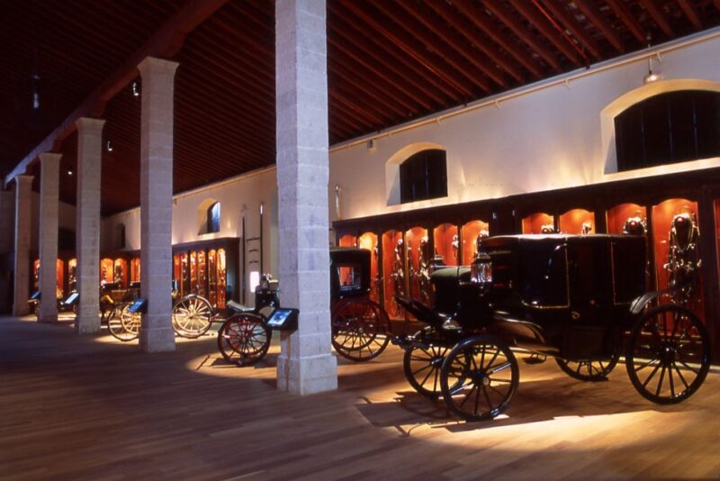 Jerez De La Frontera: Andalusian Horse Dance and Museums - Customer Reviews