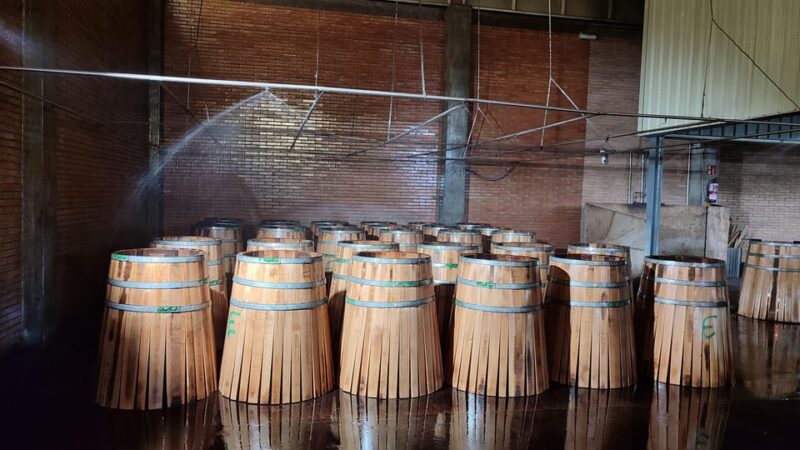 JEREZ DE LA FRONTERA: PREMIUM GUIDED TOUR TO THE COOPERAGE - Language and Accessibility