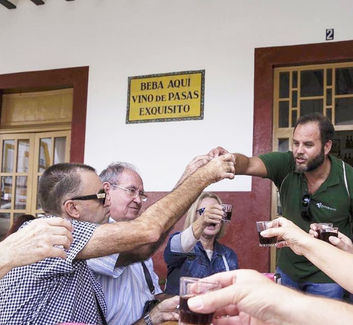 Jerez: Guided Winery Tour With Wine Tasting - Winemaking at Bodega Cayetano Del Pino