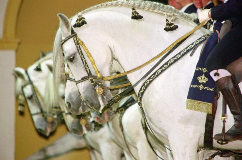 Jerez: Historic Center of Jerez and Horse Show - Photography Restrictions