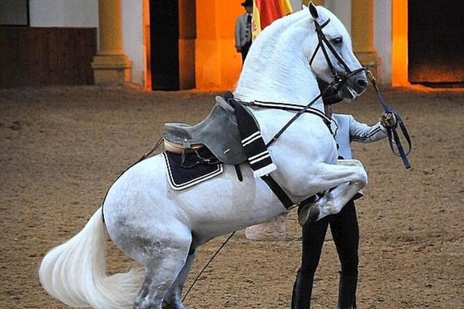 Jerez Historic Guided Tour With Horse Show - Pricing Details