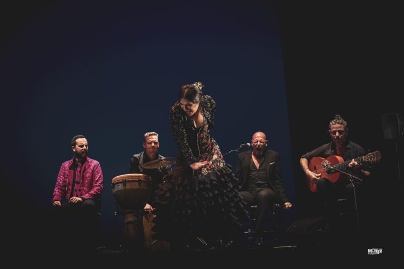 Jerez: Live Flamenco Show at The Angel's Den - Flamenco Performance Highlights