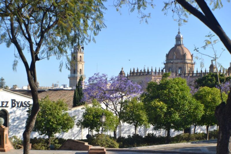 Jerez Private City Walking Tour - Visiting the Muslim Fortress
