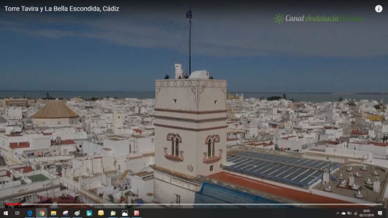 Jerez Private Tour From Seville: Wine and Equestrian Art - Andalusian Horses Performance