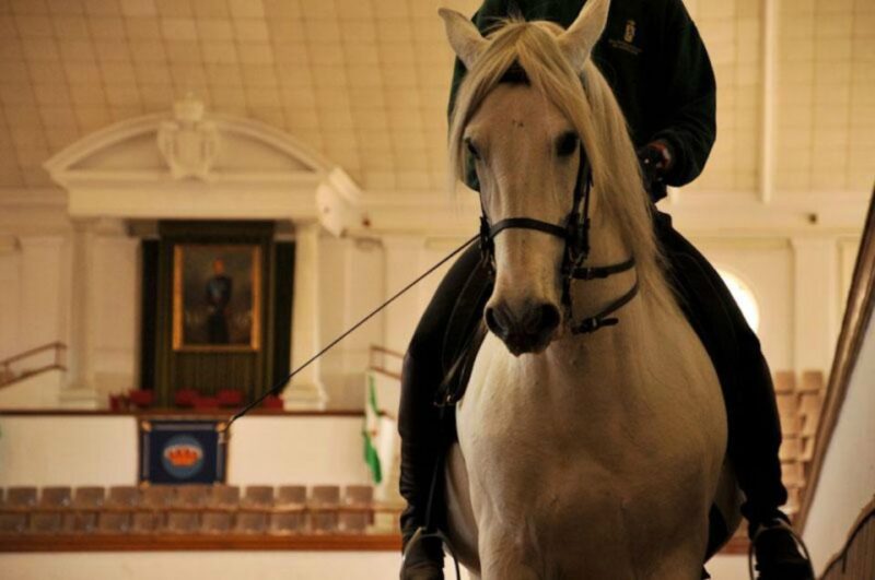 Jerez Private Tour From Seville: Wine and Equestrian Art - Historic City of Cadiz