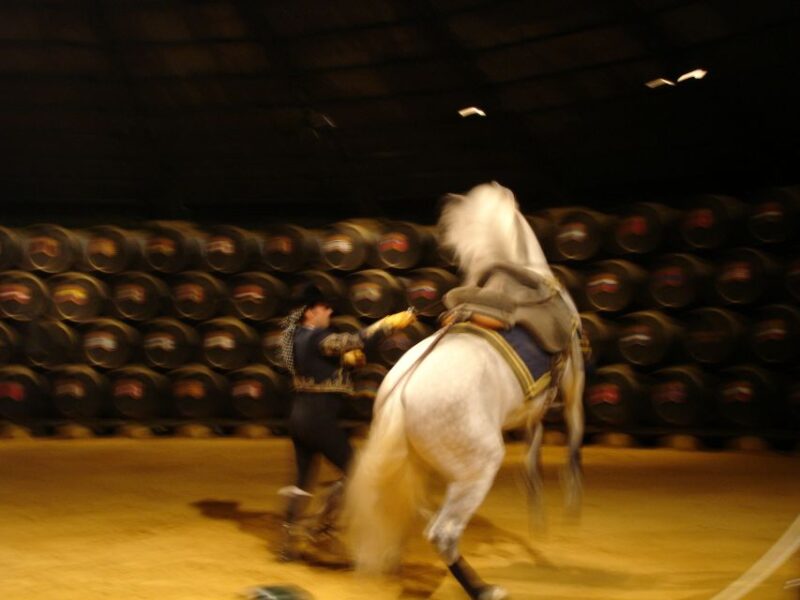 Jerez Private Tour From Seville: Wine and Equestrian Art - Inclusions and Exclusions