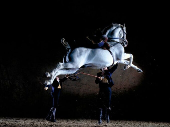 Jerez Private Tour From Seville: Wine and Equestrian Art - Frequently Asked Questions