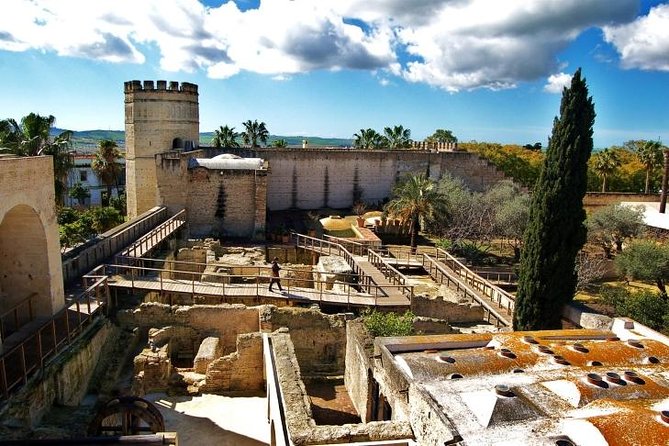 Jerez Walking Tour With Alcazar and Cathedral Entrance - Guided by Art Historian Experts