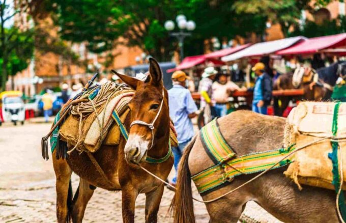 Jerico a Colorful Town Encircled With Plantations of Coffee - Discovering Jericos Attractions