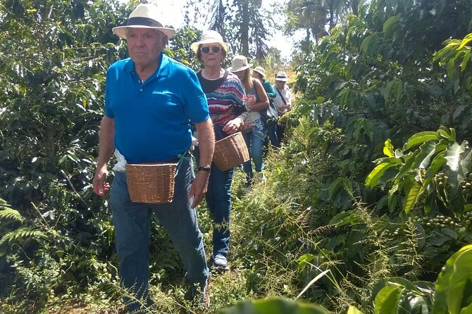 Jericó Full-Day Tour - Coffee Farm Experience