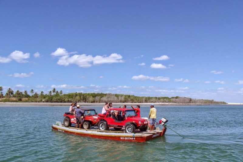 Jericoacoara: Tatajuba Beach Tour - Highlights of the Tour