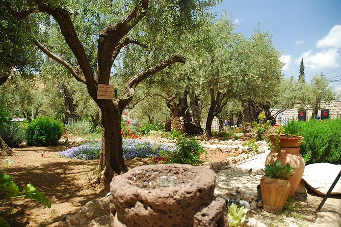 Jerusalem Old City & Mount Zion From Tel Aviv - Inclusions