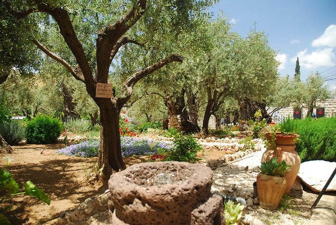 Jerusalem Walking Tour: In the Footsteps of Jesus - Via Dolorosa and The Crucifixion
