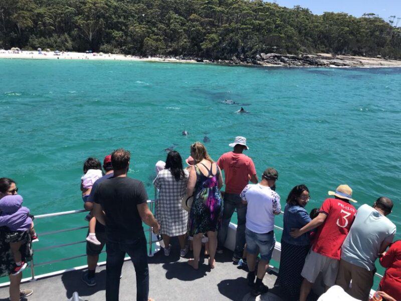 Jervis Bay: 1.5-Hour Dolphin Cruise - Cruise Details