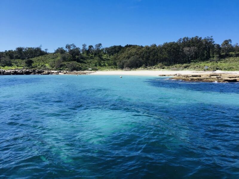Jervis Bay: 2-Hour Cruise of Jervis Bay Passage - Experience Highlights