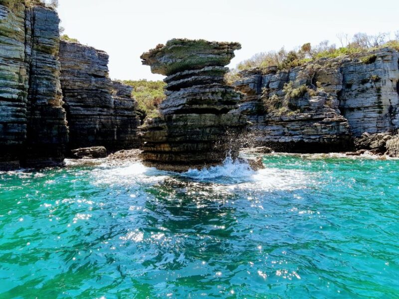 Jervis Bay: 2-Hour Cruise of Jervis Bay Passage - Customer Reviews and Ratings
