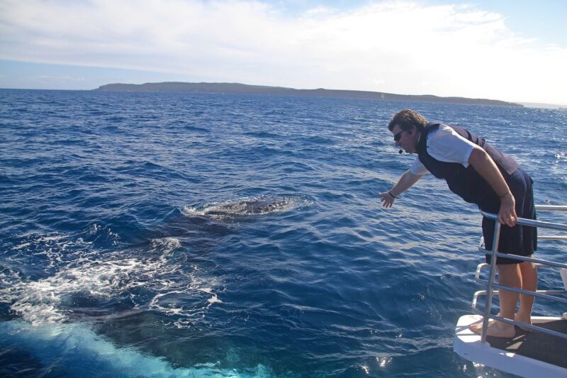 Jervis Bay: 2-Hour Whale Watching Cruise - Cancellation and Refund Policy