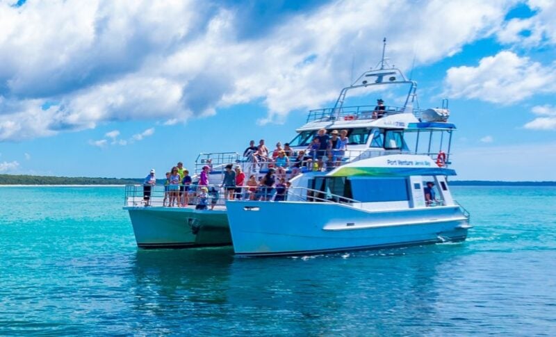 Jervis Bay: 2-Hour Whale Watching Cruise - Meeting Point and Recommendations