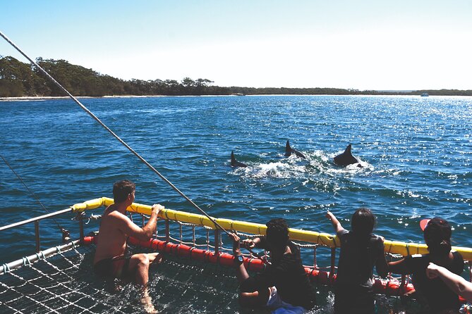 Jervis Bay Boom Netting and Dolphins Tour - Boom Netting Experience