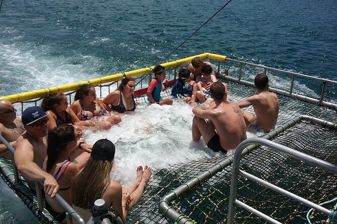 Jervis Bay Boom Netting and Dolphins Tour - Family-Friendly Attractions