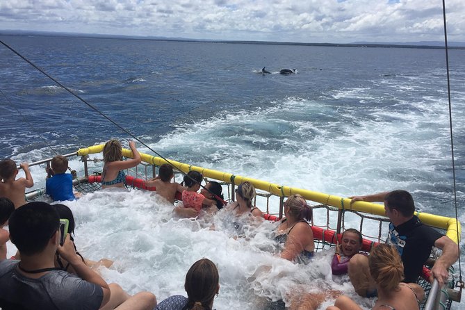 Jervis Bay Boom Netting and Dolphins Tour - Tour Inclusions and Meeting Point