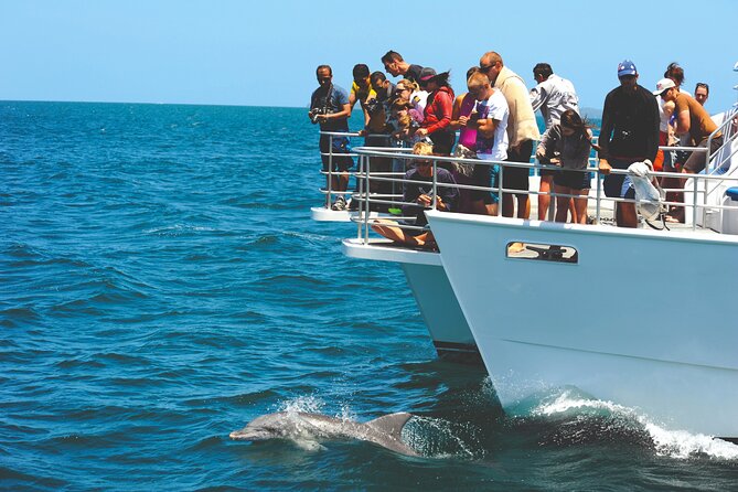 Jervis Bay Boom Netting and Dolphins Tour - Important Considerations