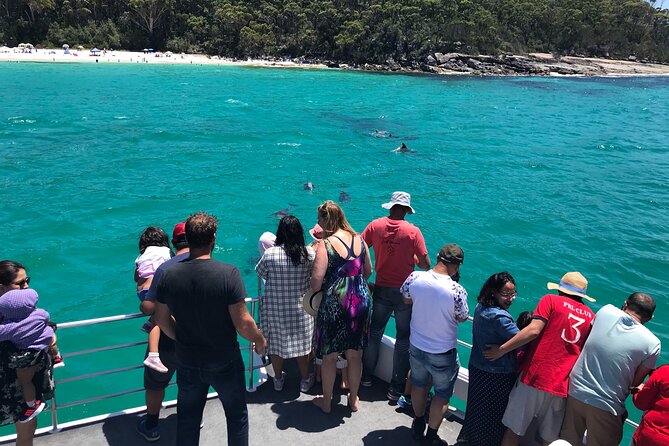 Jervis Bay Dolphin Cruise - Meeting and Departure Details