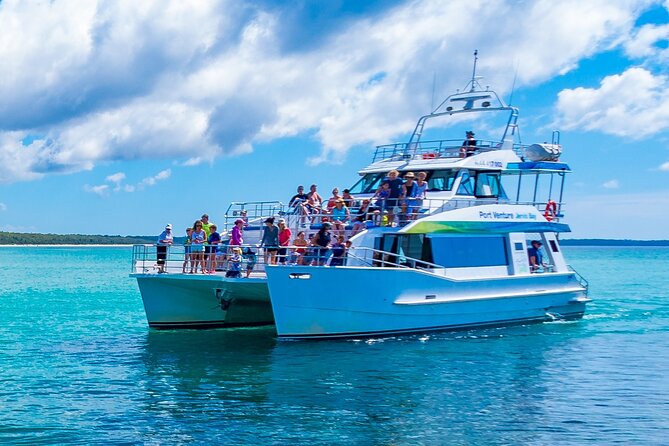 Jervis Bay Dolphin Cruise - Customer Reviews and Feedback