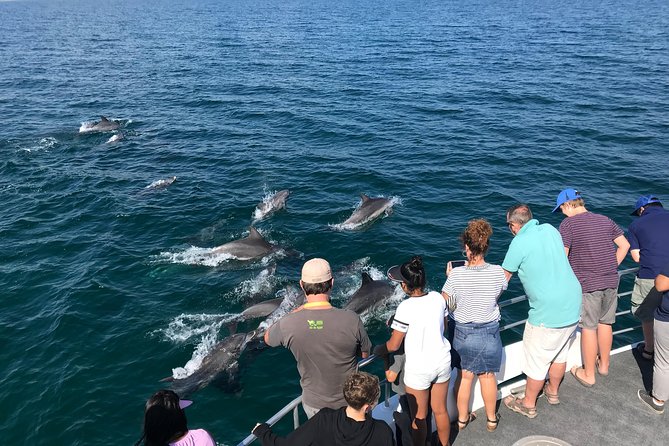 Jervis Bay Dolphin Cruise - Frequently Asked Questions