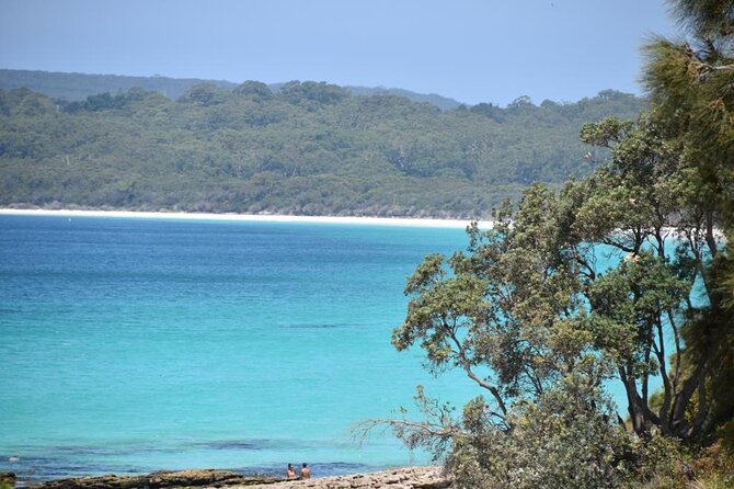 Jervis Bay & Dolphins Cruise - One Day Tour - Scenic Beaches and Hikes