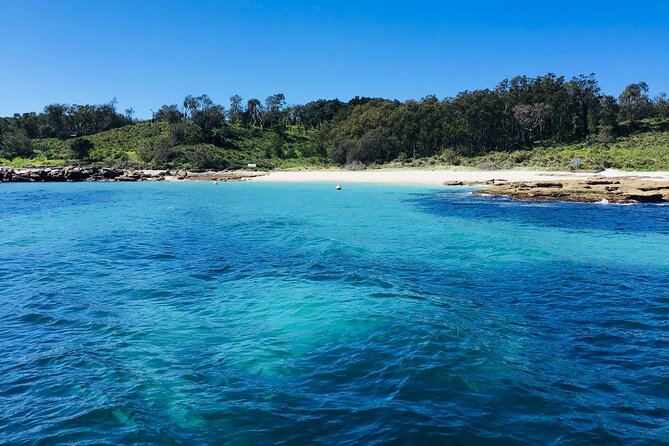 Jervis Bay Passage Tour - Highlights and Best Time
