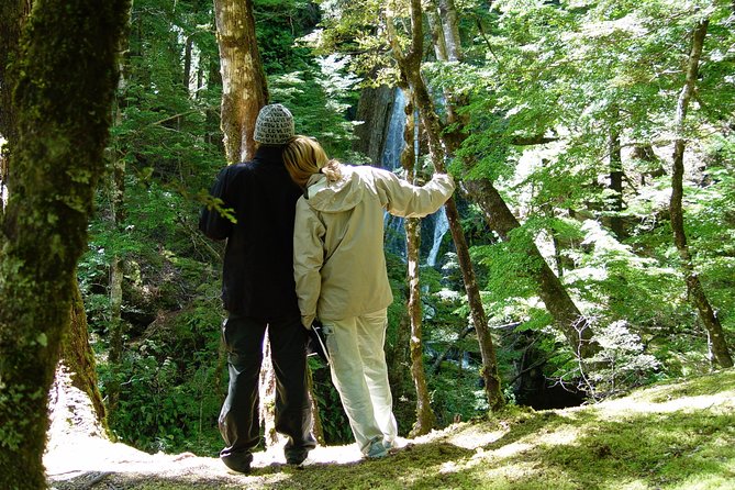 Jet Boat and Wilderness Walk Tour From Wanaka - Booking Flexibility