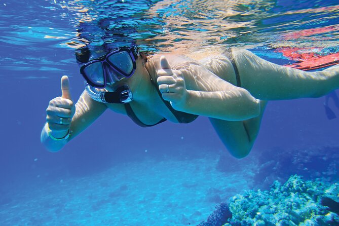 Jet Boat Excursion in South West Coast of Mallorca - Customer Feedback and Experience