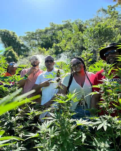 Jet Car, Marijuana Farm and Bamboo Rafting Tour - Marijuana Cultivation and Uses