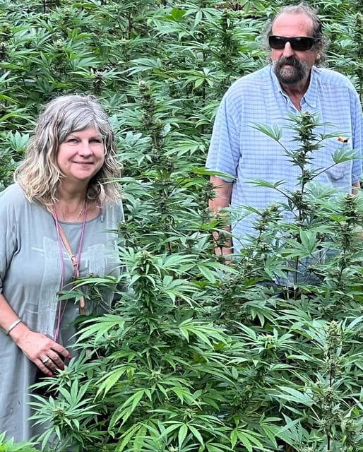 Jet Car, Marijuana Farm and Bamboo Rafting Tour - Recap