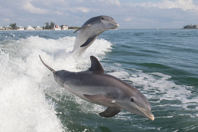 Jet Ski Rental From Fort Myers Beach to Sanibel - Meeting Point Details