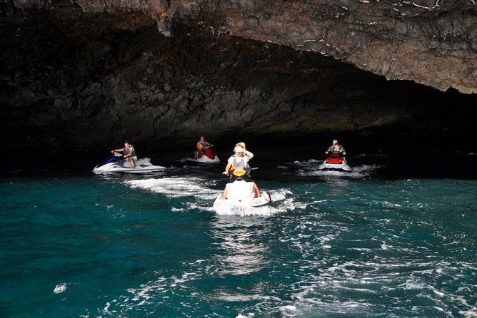 Jet Ski Safari South Tenerife - Wildlife Sighting Opportunities