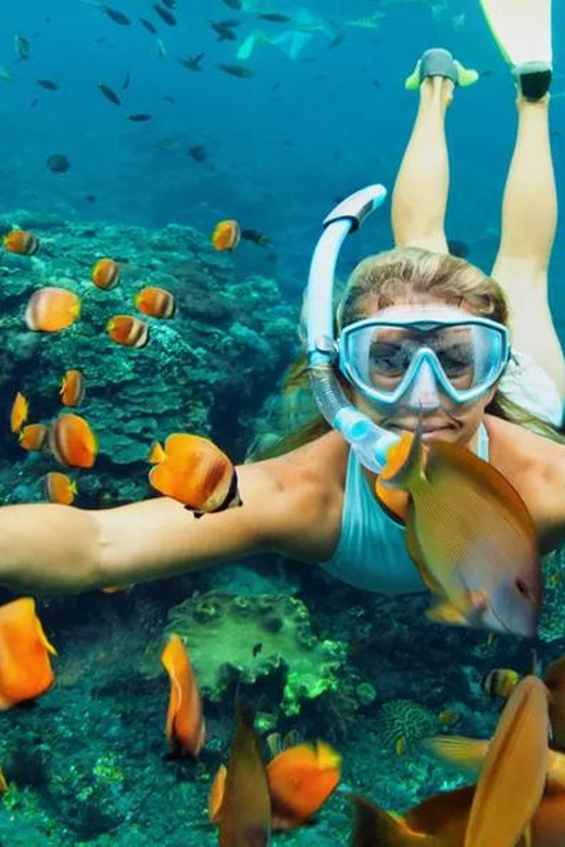 Jet Ski, Snorkelling & Para Sailing Tour - Participant Restrictions