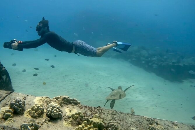 Jet Snorkeling in Turtle, Dolphin and Monk Seal Bay - Confirmation and Booking
