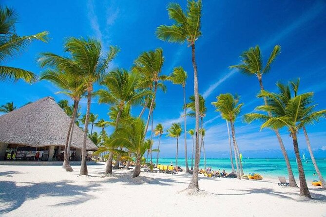 Jewel Palm Beach - Round Trip Shuttle - Punta Cana Airport - Accessibility and Participation