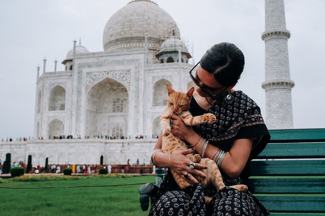 Jewels of India: Agra & Jaipur Expedition - Accessibility and Special Features