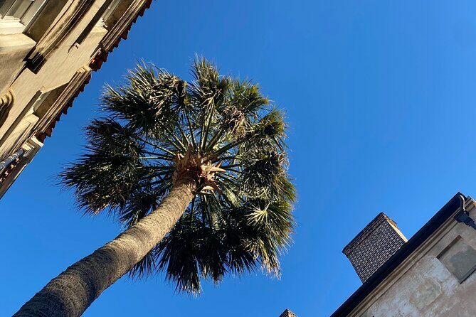 Jewish History Private Walking Tour of Charleston - What Makes This Tour Special?