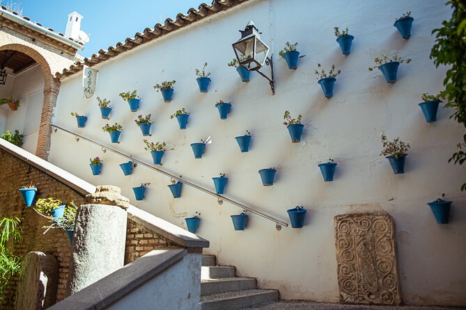 Jewish Quartier & Alcazar From Cordoba Official Tour - Multilingual Tour Options