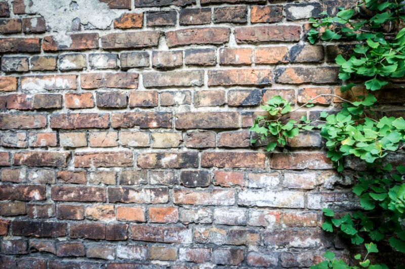Jewish Warsaw Private Tour - Tour Inclusions