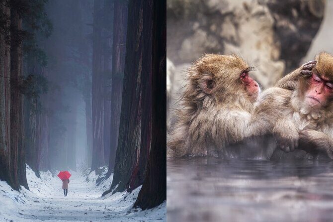 Jigokudani Snow Monkey and Togakushi Shrine Private Tour - The Details: What’s Included and What’s Not