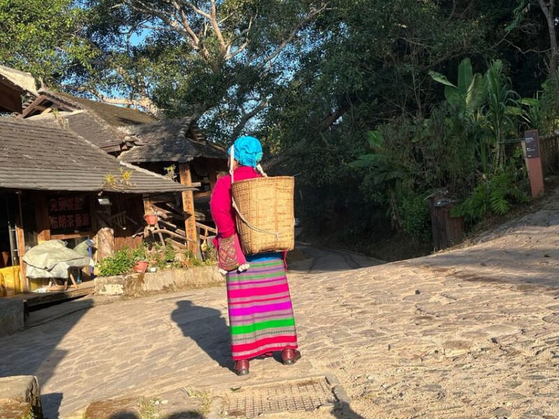 Jingmai Mountain (UNESCO) | Old Tea Forests and Dai Villages - Experience Highlights
