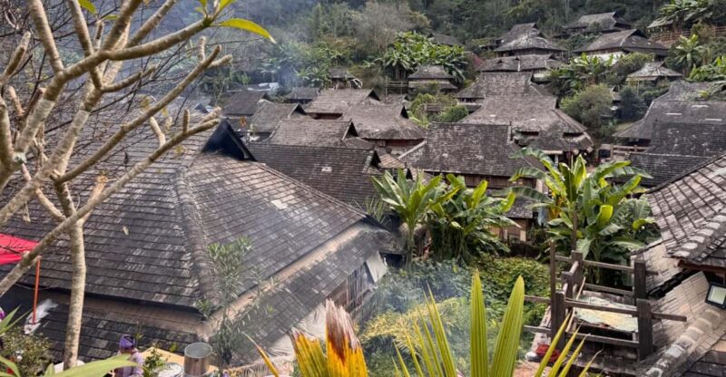 Jingmai Mountain (UNESCO) | Old Tea Forests and Dai Villages - Daily Itinerary