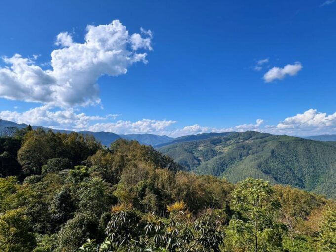 Jingmai Mountain (UNESCO) | Old Tea Forests and Dai Villages - Exploring the Dai Villages