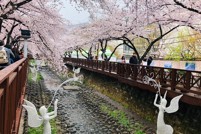 Jinhae Cherry Blossom and Busan Sunrise Tour From Seoul - Tour Inclusions